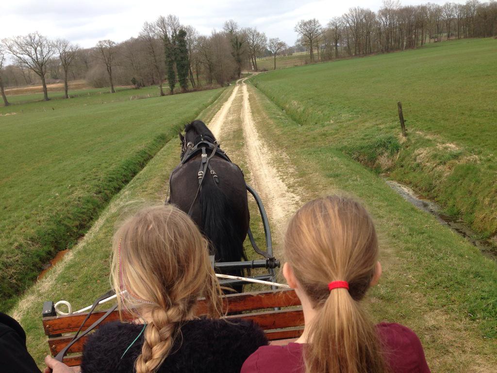 houdingcoach's tweet photo. Super middag gehad bij #StalDenink @RobBraakhuis en nu met rode wangen en uitgewaaid haar nagenieten. #kinderfeestje http://t.co/mHNS2mByUX