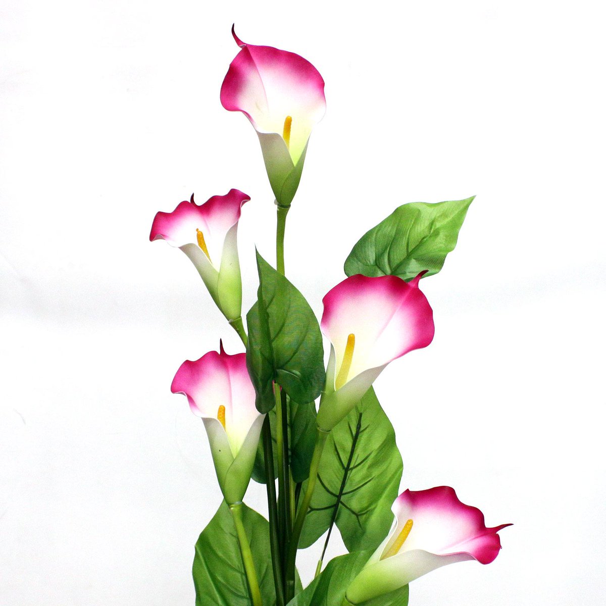 AtoZOnlineLLC's tweet image. #looksreal #wedding #bouquet
40" Extra Large Trumpet Lily (5 Flowers)
amazon.com/dp/B00VTXEYE0/…