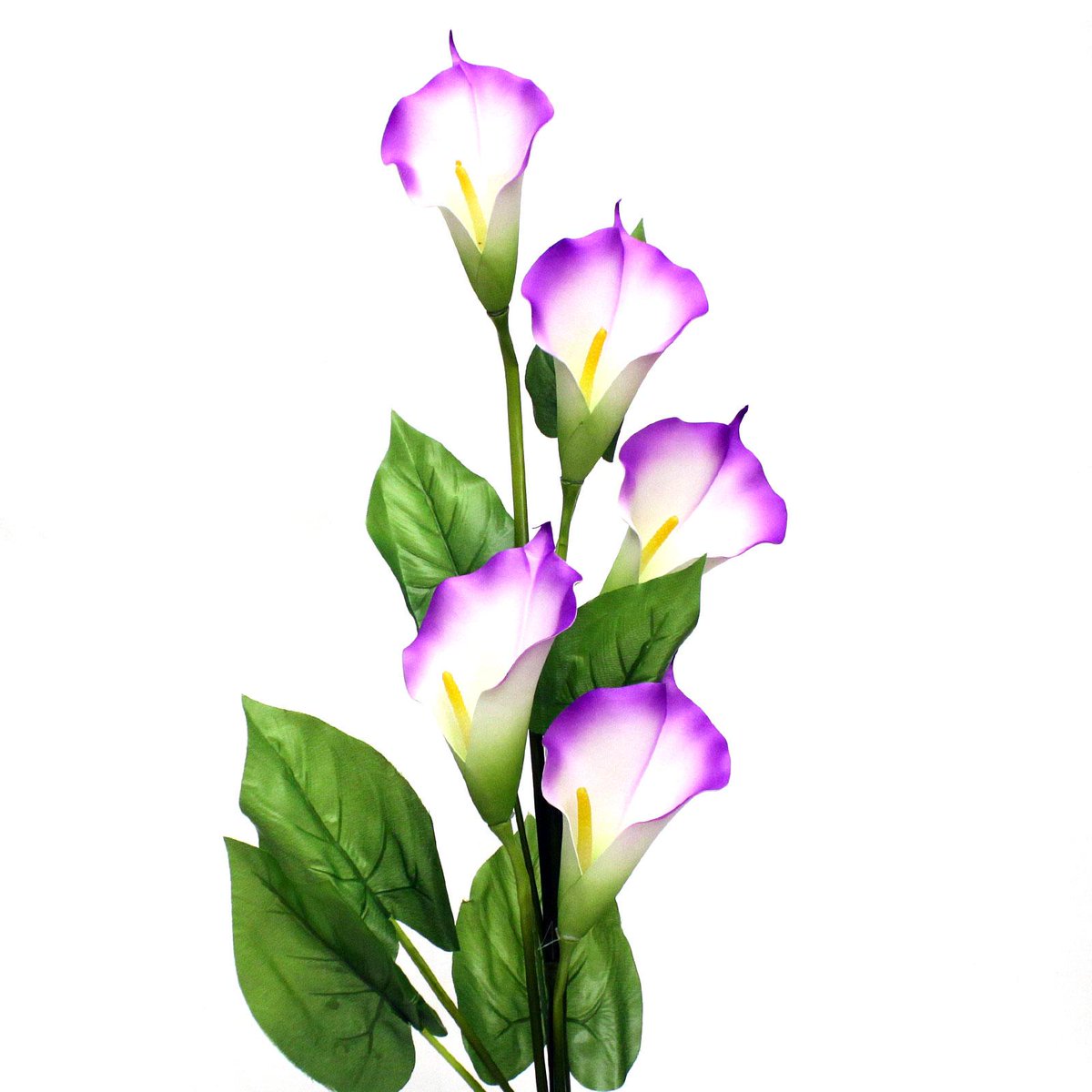 AtoZOnlineLLC's tweet image. #looksreal #wedding #bouquet
40" Extra Large Trumpet Lily (5 Flowers)
amazon.com/dp/B00VTXEYE0/…