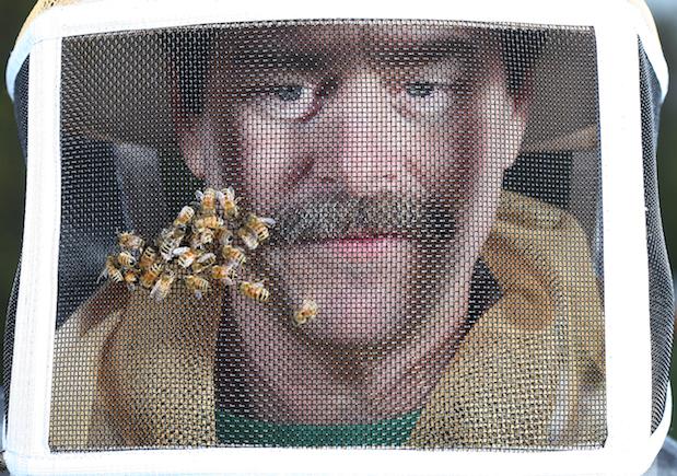 Purdue Research (@purdueresearch) on Twitter photo RT <a href="/PurdueUnivNews/">Purdue U. News</a>: Honeybee die-off less severe this year <a href="/PurdueAg/">Purdue Agriculture</a> purdue.edu/newsroom/relea… RT <a href="/PurdueUnivNews/">Purdue U. News</a>: Honeybee die-off less severe this year <a href="/PurdueAg/">Purdue Agriculture</a> purdue.edu/newsroom/relea…