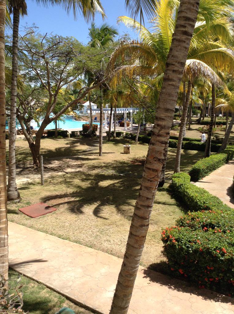 georgej24's tweet photo. Meliã Cayo Guillermo 🍺🍻🍸🍹🍷 http://t.co/XzQ25AP9JB