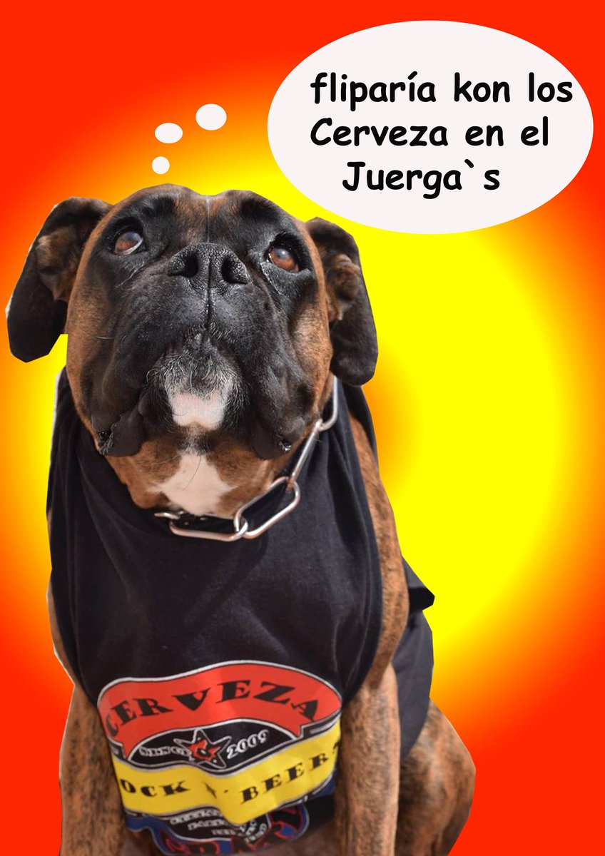 Cerveza Gratix tweet media