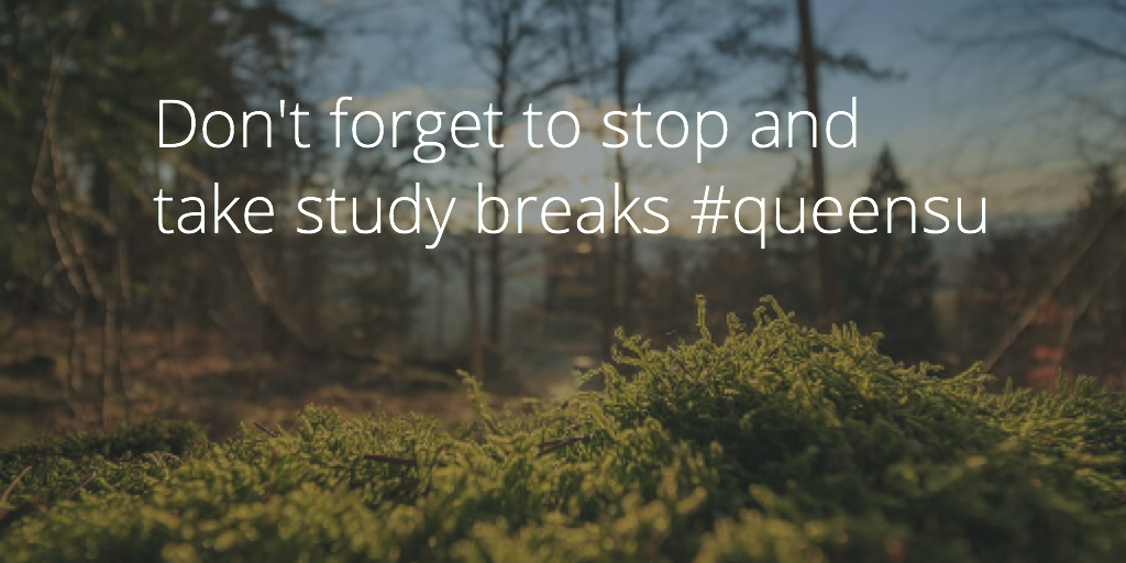 queensu's tweet photo. Exams begin tomorrow. We know studying can be hard ... try to take breaks to help refresh your mind #queensu http://t.co/CVVJ97LzaC