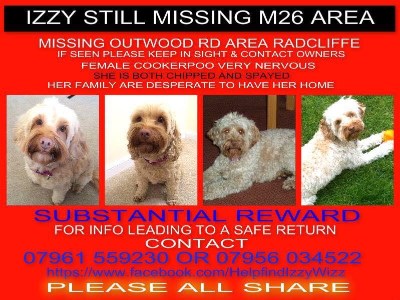 findmilly's tweet photo. please share to find izzy missing in manchester@Mellor76 http://t.co/aWKQ8S0iEL
