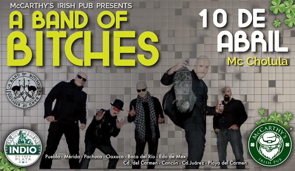 McCarthy's Irish Pub tweet media