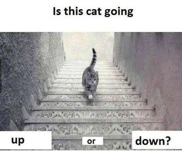 ToadzBar's tweet image. Thoughts on this!? We say up!