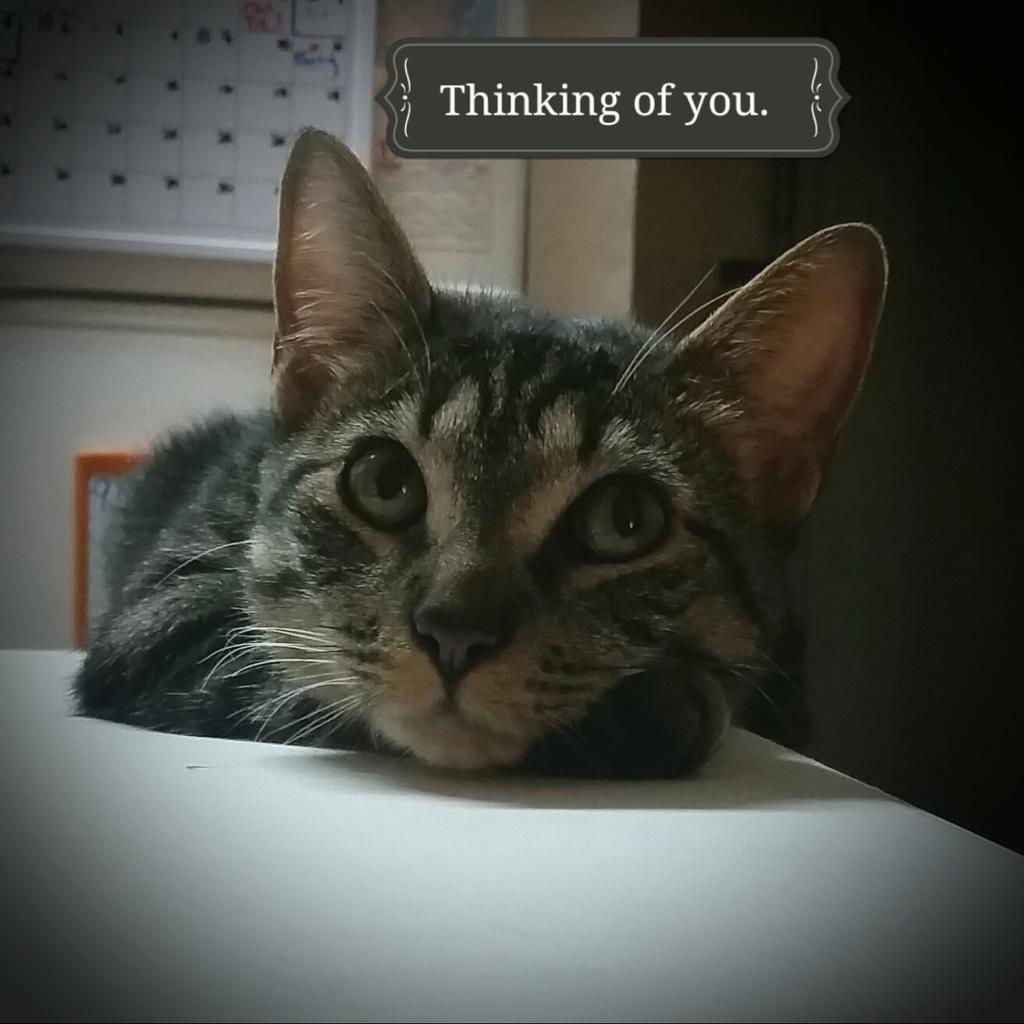 onlyhearts7's tweet photo. Wishing you all a day filled with love and joy. #tinyderek http://t.co/hslzegJG36