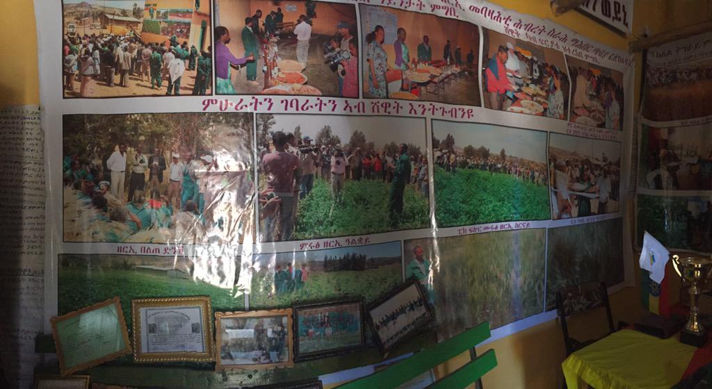 ProfKindeya's tweet photo. A field visit to #Shewit seed cooperatives; very innovative & full of optimism; barley, potato #gd partner of #MU http://t.co/kCe9AVL5wr