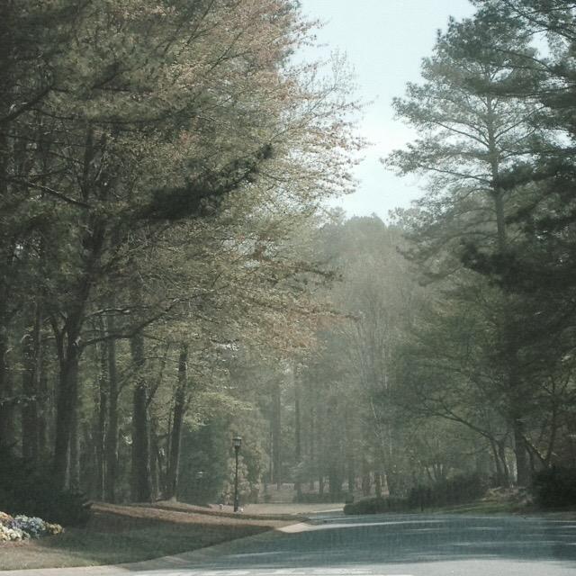 LSRpainter's tweet photo. Not fog…pollen!! In Atlanta Georgia @Evansweather http://t.co/n1wHjhfg7Z