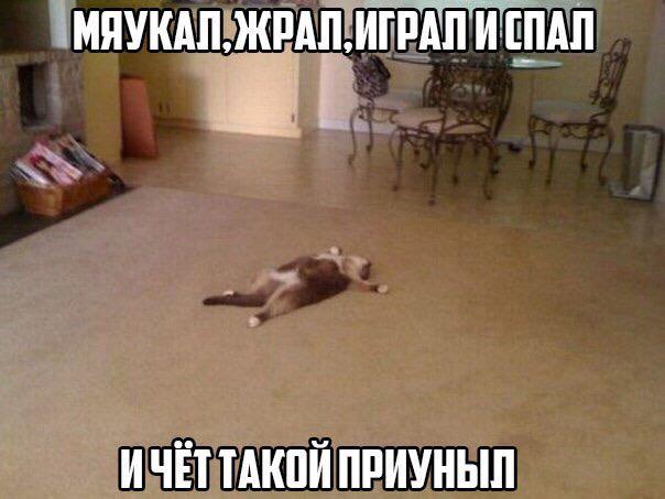 AnyutaMuller's tweet photo. Да, чёт как то немного.... http://t.co/qbZlsfNL1q