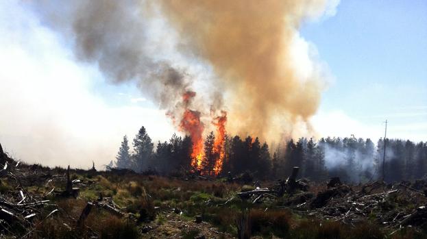 High risk of wildfires across country as spring sunshine continues bit.ly/1ydgvxa