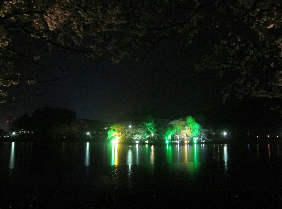 東金桜まつり 東金市 千葉県 花火大会 お祭り イベントの場所や開催日程