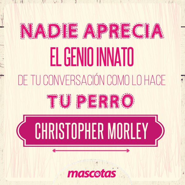 MascotasET's tweet photo. http://t.co/X4eqzOtABd