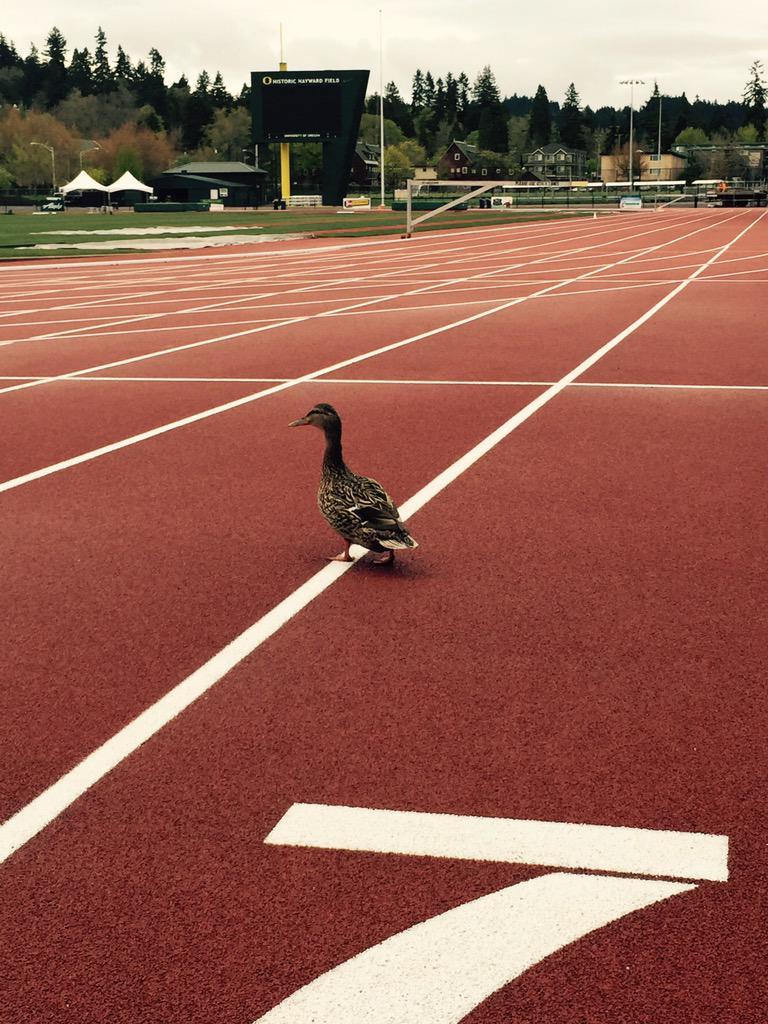 PaulSwangard's tweet photo. Only in #tracktownusa http://t.co/YgUvDM9POE
