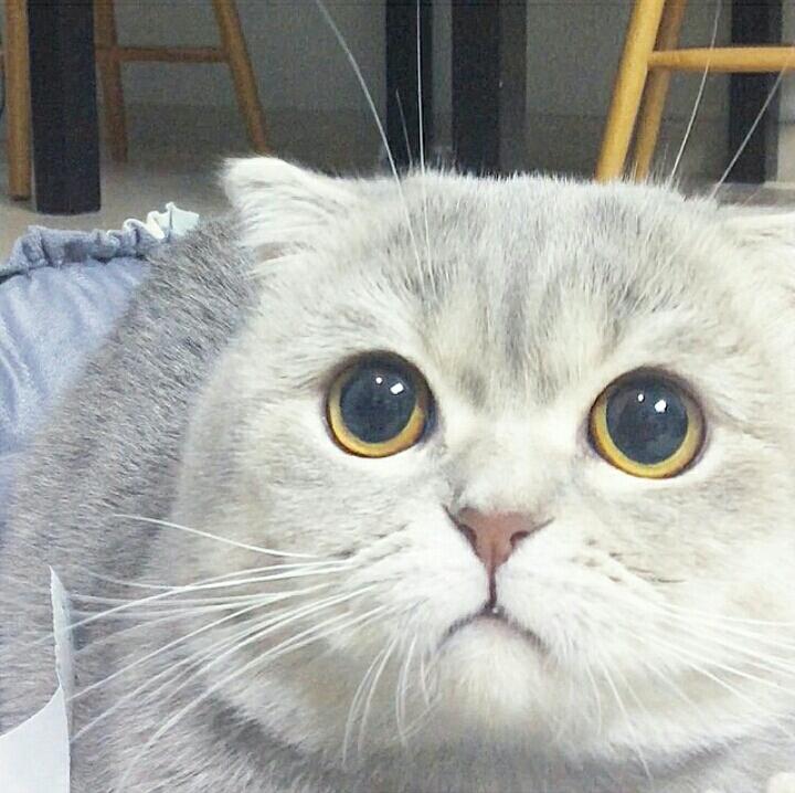 FattahFawzy's tweet photo. bila kau excited share things kat kawan kau tetiba kawan kau kata "oh dah lama dah tau" http://t.co/SveUPJYsB9