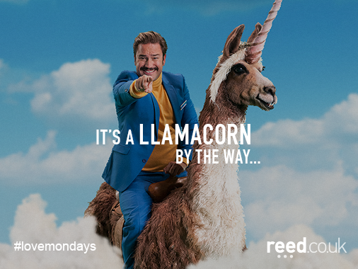 reedcouk's tweet photo. You know, just in case you were wondering... http://t.co/fF2EnyTsYT