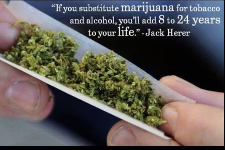 ArturomonjeJ's tweet photo. @MarylandNORML #SB531 #HB911 #Marylandlife @SpeakerBusch @pgnorml @DrOz @NORML please #SaveHB911 @CNNPolitics hmm??? http://t.co/LZuhgQsRJQ