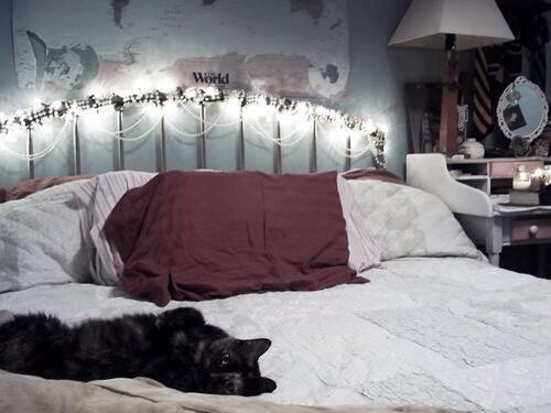 My room
<a href="/SuicideForestRP/">Suicide Forest RPG</a>