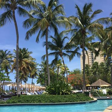 beach_trades's tweet photo. Light trading poolside from San Juan. Like Miley #cantstop #passion #alwaysaction http://t.co/8OKy2D1mSB