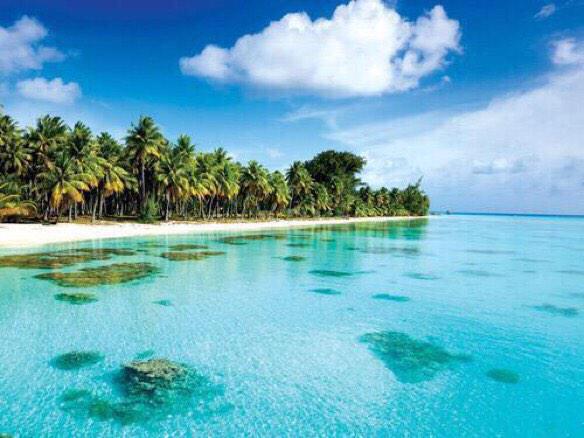 iadorewomen_'s tweet image. I need BoraBora in my life 😍🌎🌊