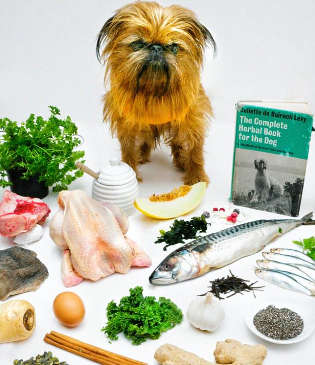 ChilternDogs's tweet image. Britain's 1st holistic pop up restaurant for dogs dailymail.co.uk/femail/food/ar…