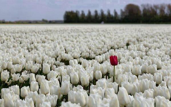 kenzie's tweet image. Be different and you'll always stand out
