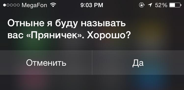 Для, сири приколы картинки