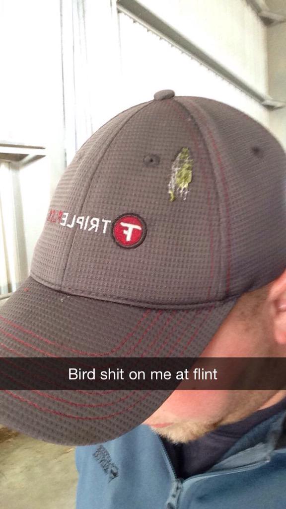mattduncan67's tweet photo. Damn pigeons http://t.co/TTdMbJfJZE