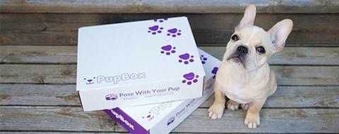 Do you have a puppy? Puppy toys, treats, and training info delivered to your door PupBox.com #PupBox
