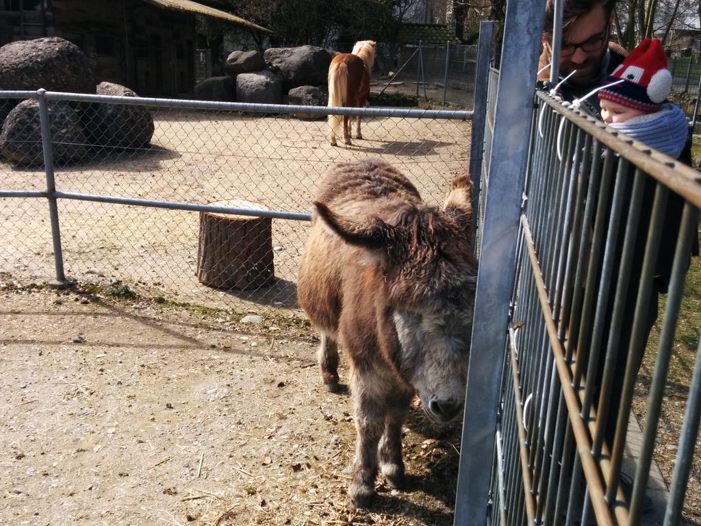 Laura2shoes's tweet photo. @Christina_Meyer this guy needs you to be his friend. Hope you're enjoying your vacation! http://t.co/HzTaepMBWd