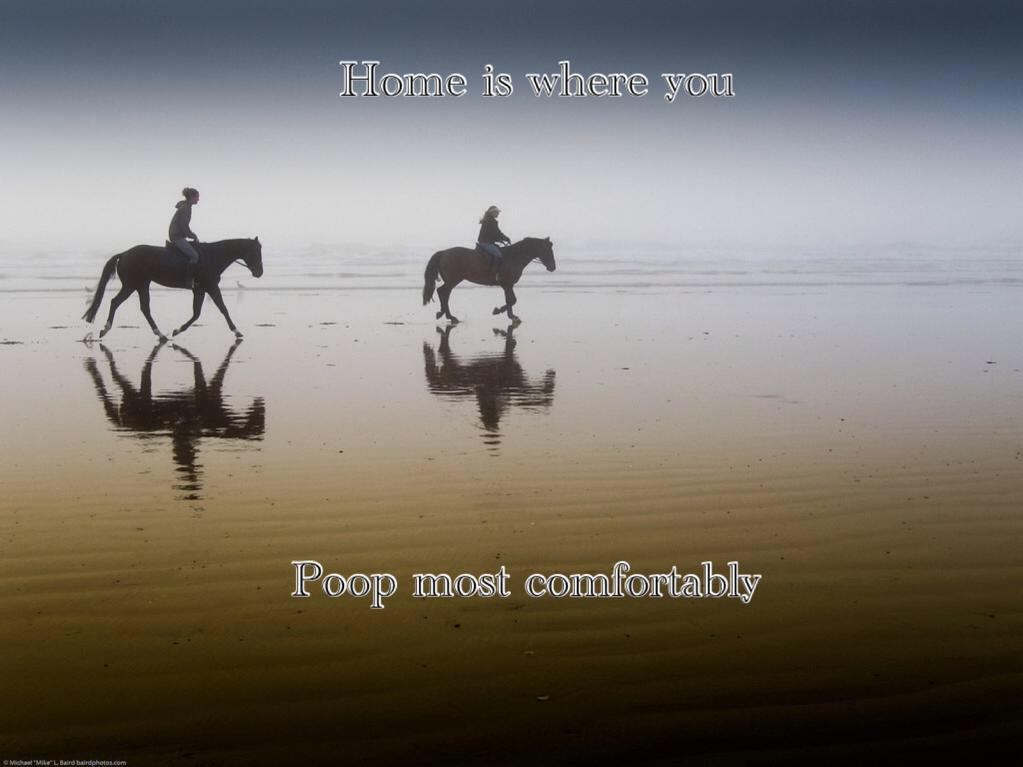 InspPoops tweet picture
