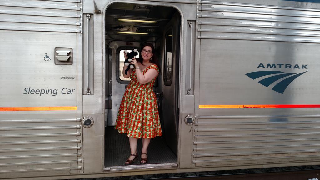 TXHolly's tweet photo. @Amtrak The Birthday Girl &amp; Love of Her Life, w/Intrepid Adventure Cat on Sunset Ltd HOU-LAX. Riding into the west! http://t.co/JLQdTSq5L3