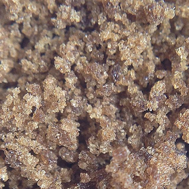 WEEDOFIG's tweet photo. Macro shot of the 3x Crazy icewax made by @emeraldalchemy
#icewax #nerrl #kush #wfayo #hrbnlife #dank #loud #budssb… http://t.co/4485WZRaRl