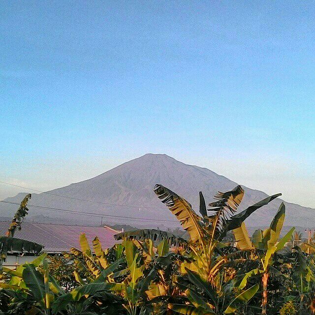 AboutCirebonID's tweet photo. Gunung Ciremai sangat cerah pagi ini. Photo by IG @GempacJunior #CirebonJepret http://t.co/tUtsuOH0Jk