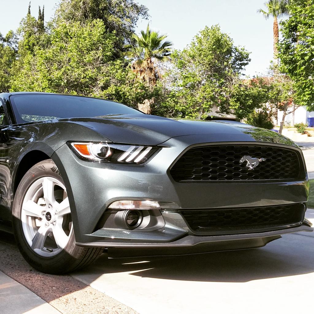 MiketheCarGuy1's tweet image. The new demo Pony; 2015 Mustang EcoBoost Coupe. Stay tuned for driving impressions.... #MustangInspires #DemoLife
