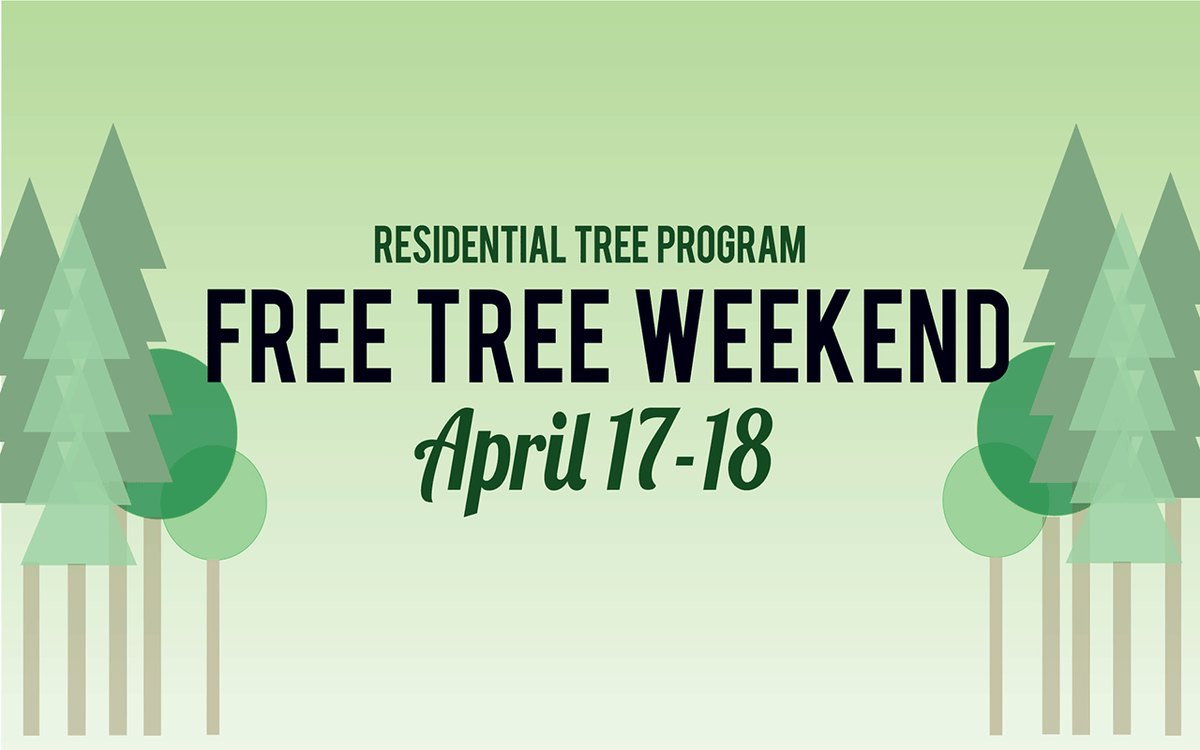 SpokaneCity's tweet photo. Get up to two FREE trees per person as #ForestSpokane gives away 2,000 trees! http://t.co/kCqcwnMlnA http://t.co/tiPa4se4DM
