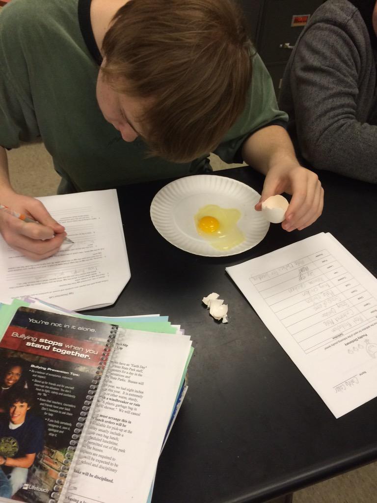 mcamp400's tweet photo. Egg dissection lab today in Intro to Ag! #ExperientialLearning #psuaged15 http://t.co/wrkqxCPOoi