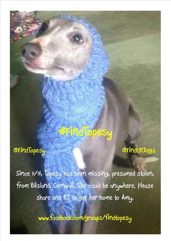 #Mo is HOME! tweet media