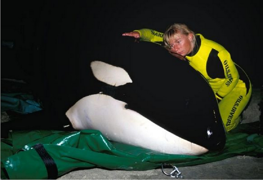 Quad_Finn's tweet photo. Meet the Scientist Who Is Standing Up To @SeaWorld to Save Orcas From Captivity - http://t.co/EoCbZnE7VH #Blackfish http://t.co/FmF5hf1BDX