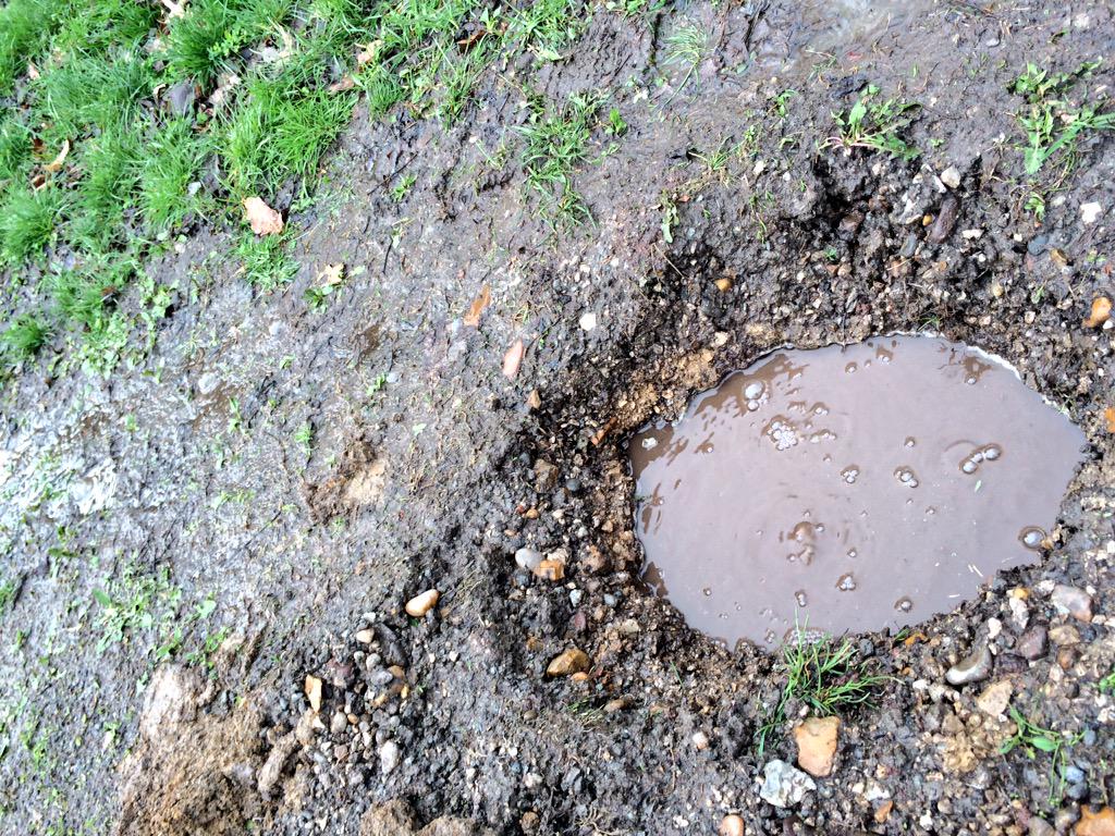 View image on Twitter