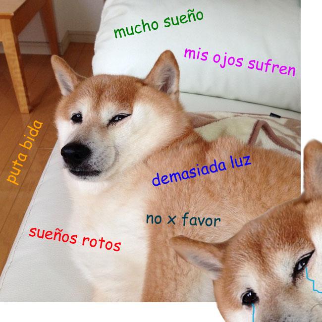 yisucrist's tweet photo. cuando tu madre t despierta ensendiendo la luz http://t.co/YFPYNRxndM