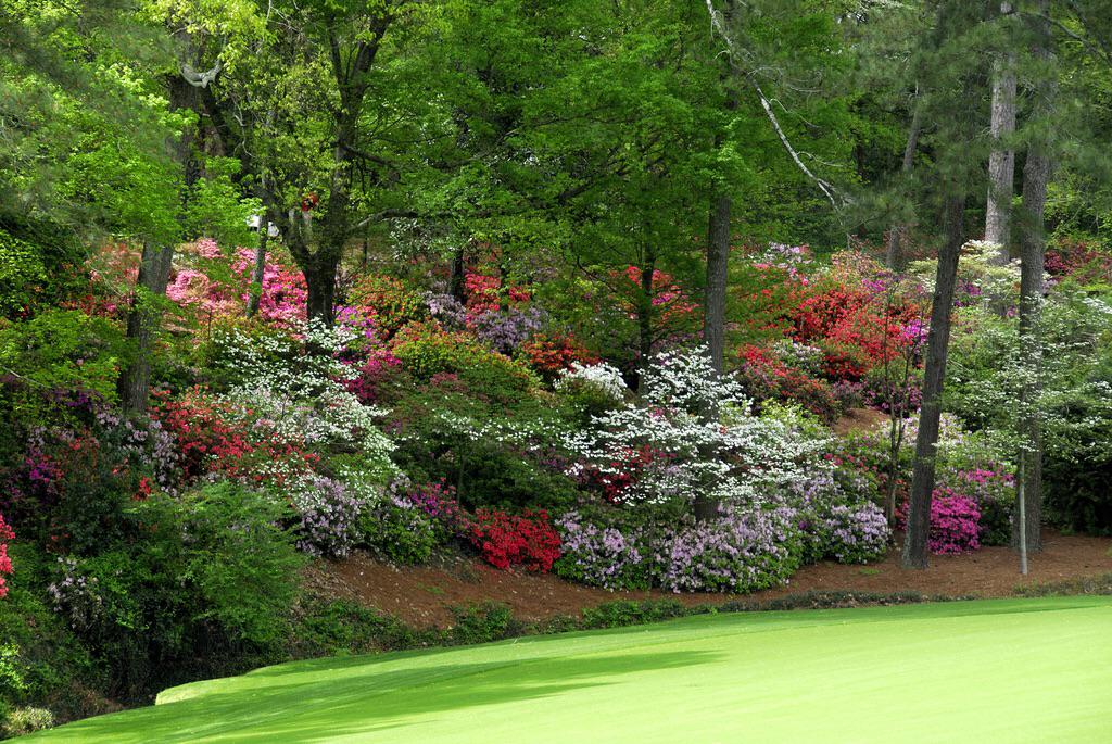 jennyiswright's tweet photo. http://t.co/zpgmoqdEXE  #Masters2015 #augustaga http://t.co/0geJq4F56C