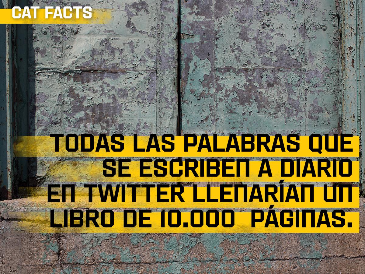 CatLifeColombia's tweet photo. #Datos #curiosos #CatLifestyleCol. http://t.co/wjHfIkECtp