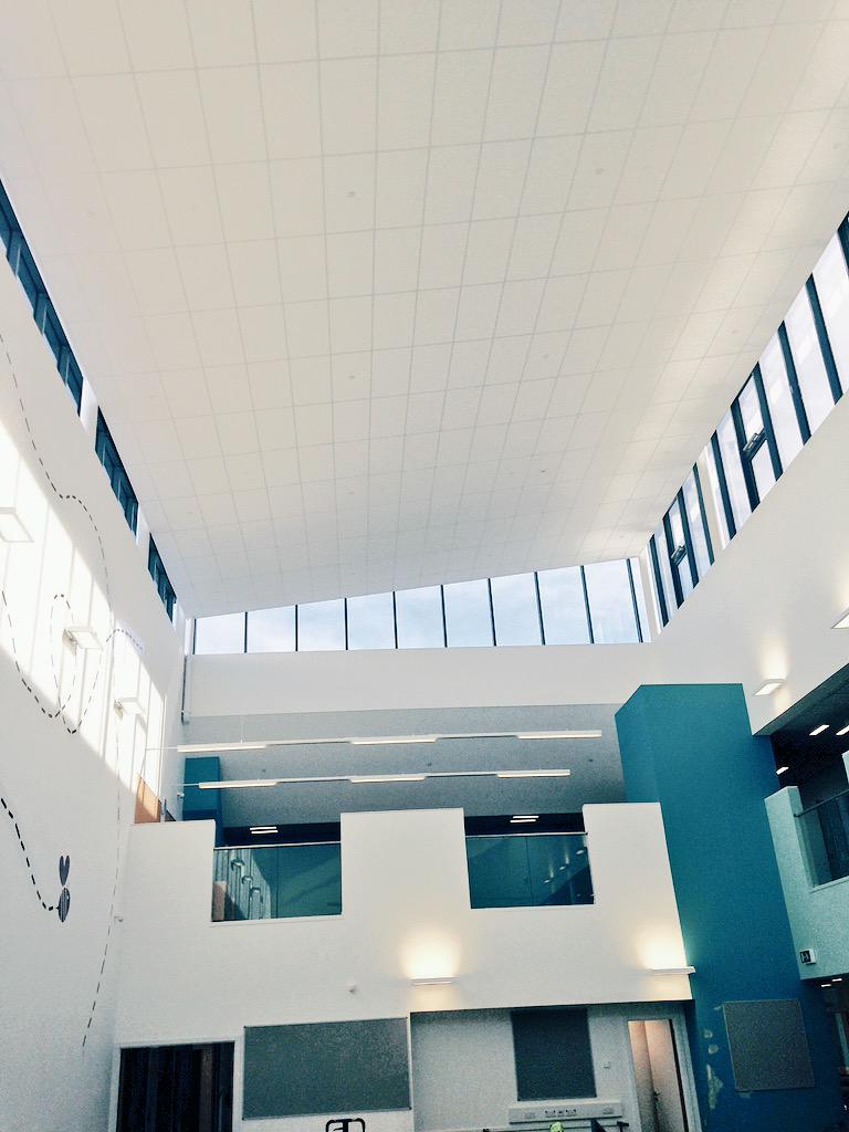 Carter Ceilings On Twitter Atrium Floating Ceiling Installation