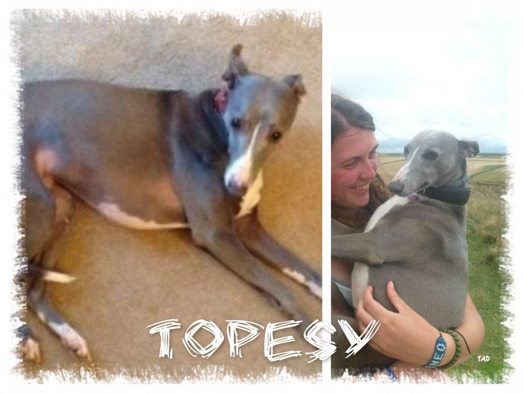 #Mo is HOME! tweet media