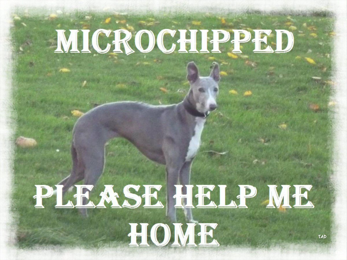 #Mo is HOME! tweet media