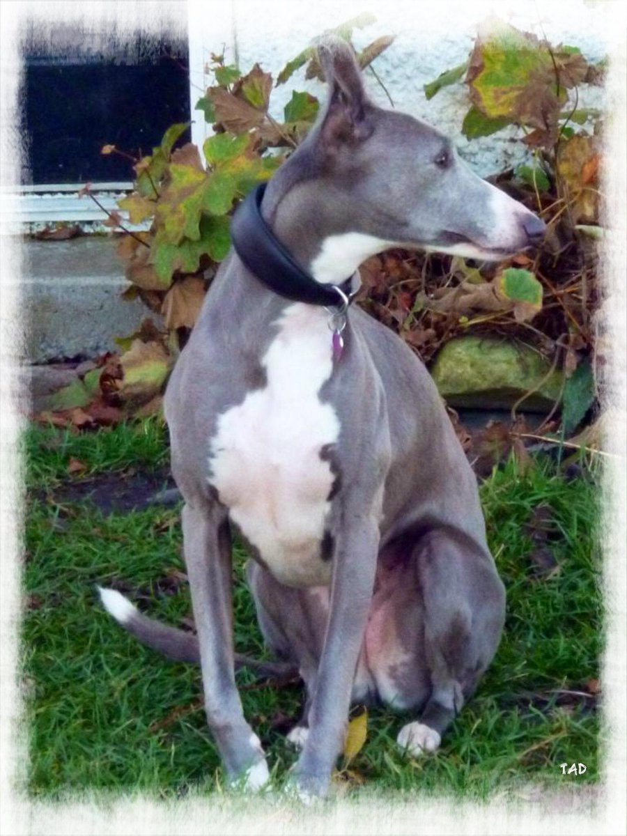 #Mo is HOME! tweet media