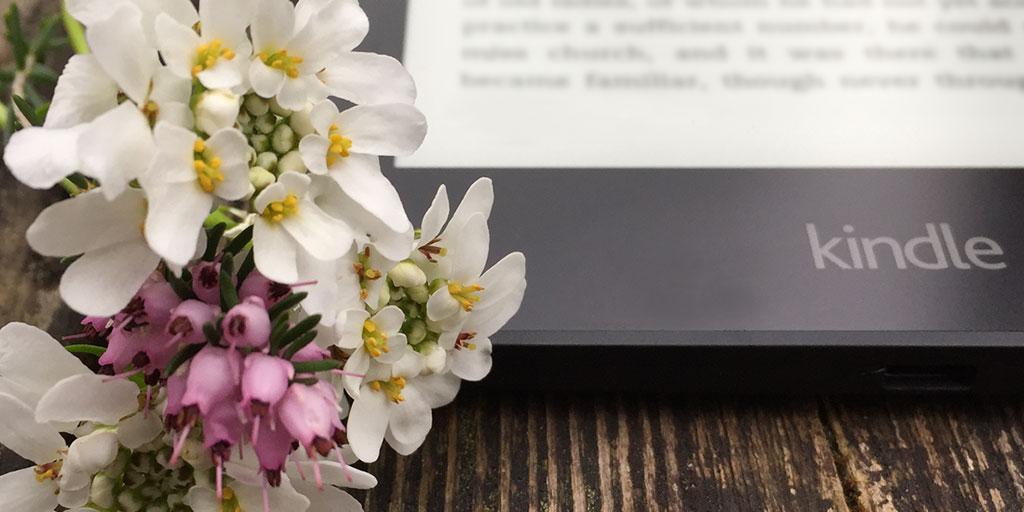 Permalien de l'image intégrée