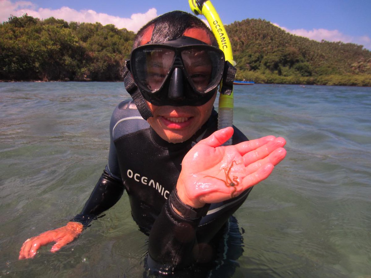 2nd post from @calacademy's Philippines expedition: Snorkeling w Rich Mooi! #CASfieldnotes 
academyadventures.tumblr.com/post/115884377…