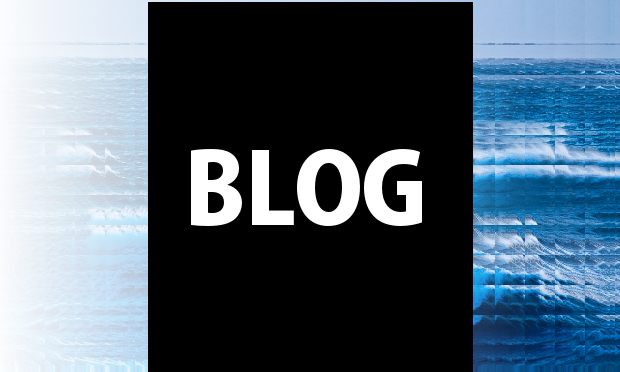 WFHP_com tweet picture